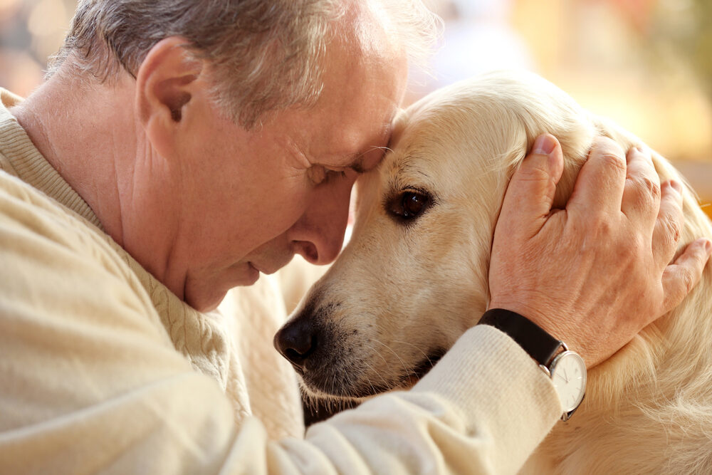 the companionship and love benefit of pets for seniors is undeniable